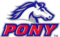 The Bay County Pony League